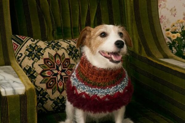 【出品のお知らせ】11/1土曜日に当店で開催するイベント「暮らしにヨハク」。