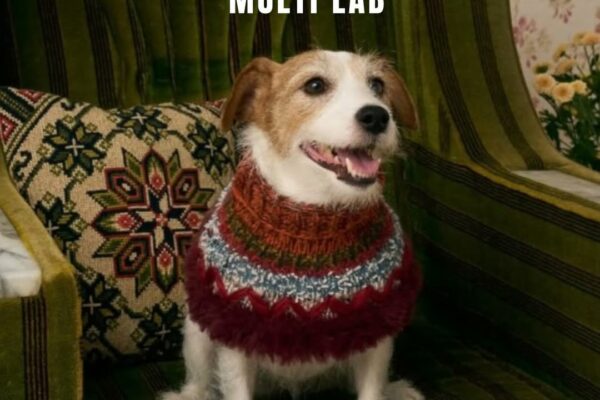 MULTI LAB POPUP 12/3(wed)-28（sun）