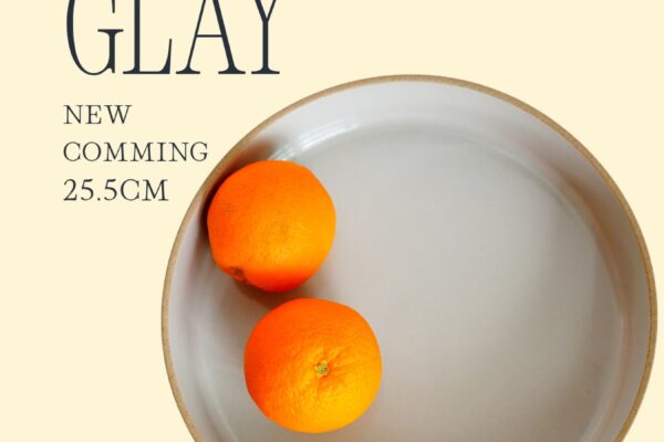 HASAMI PORCELAIN 25.5cm BOWL GLOSS GLAY